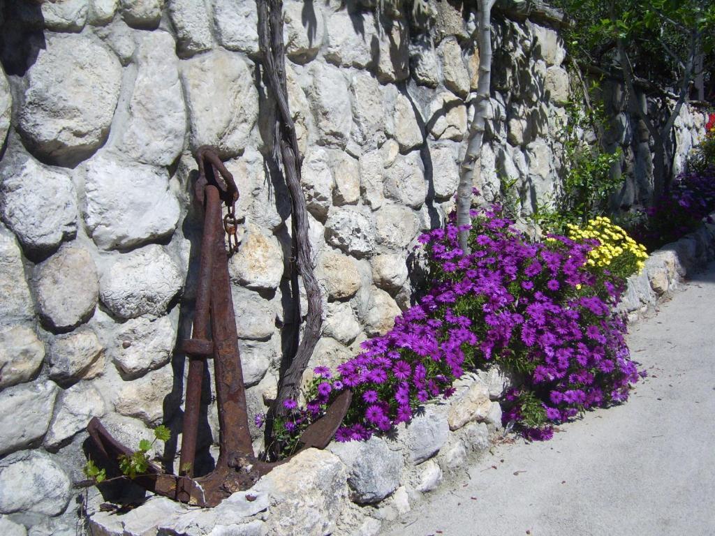 Apartments Villa More Makarska Esterno foto